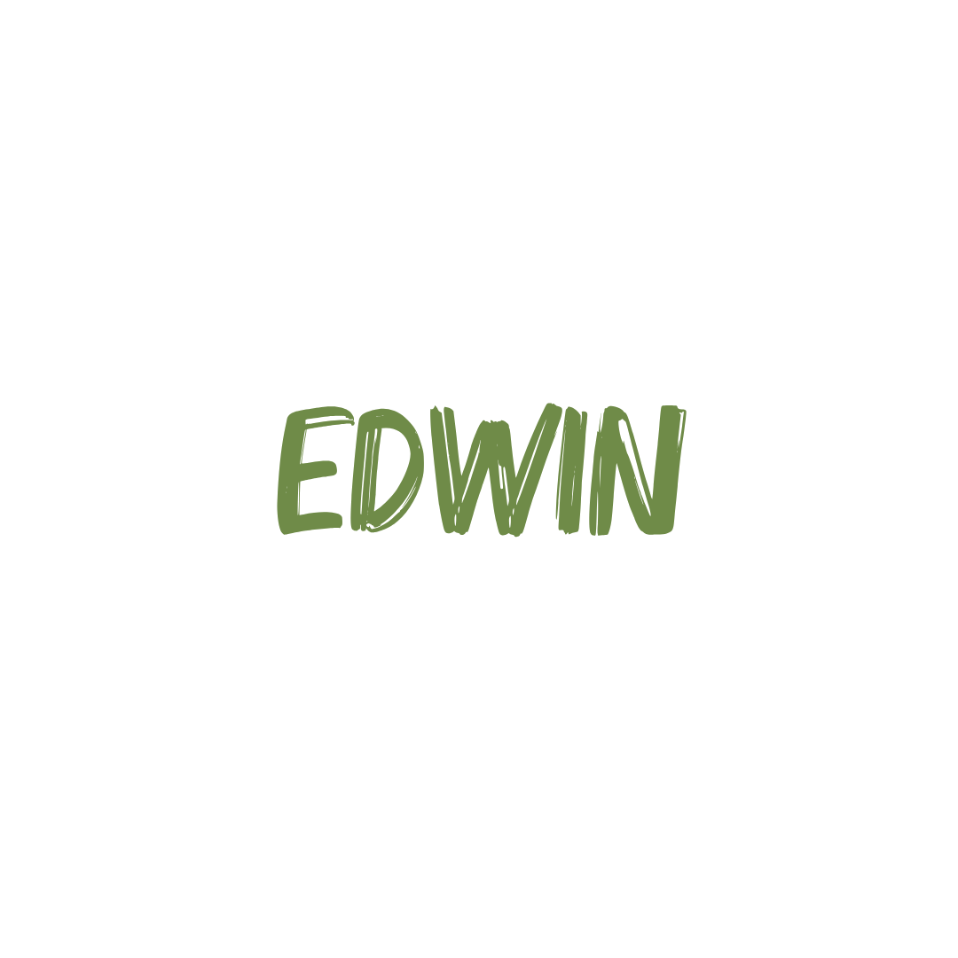 Edwin van der Ent